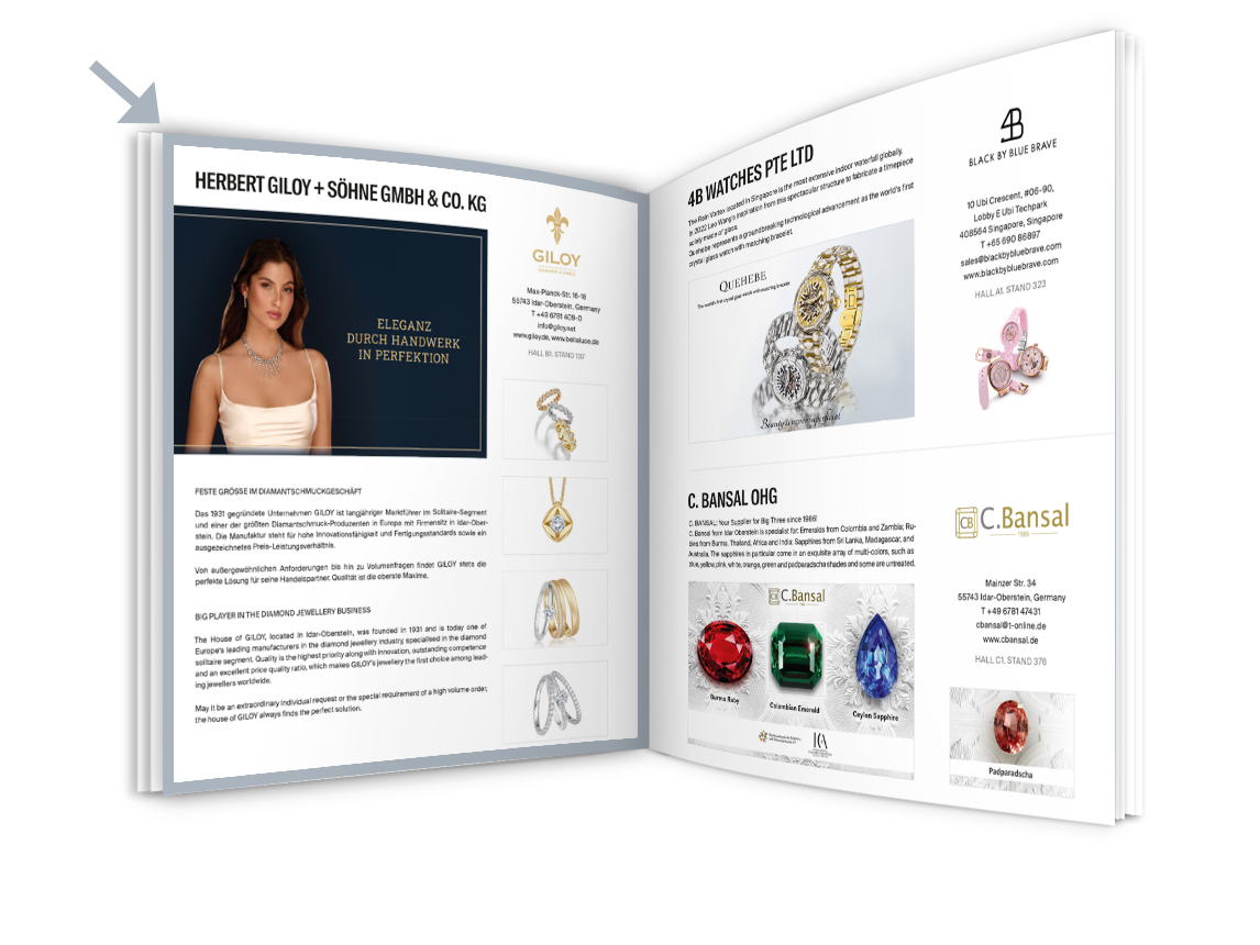 1/1 Seite Produktpräsentation